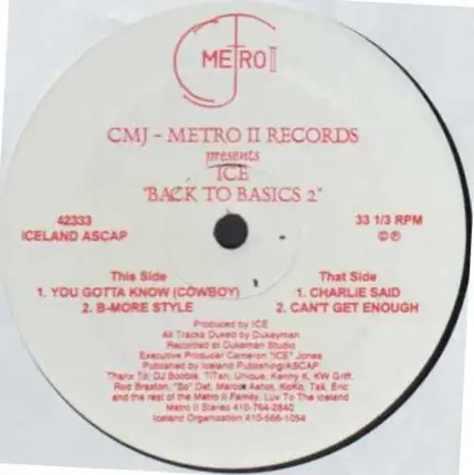 DJ Ice - Back To Basics 2