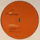 12inch Vinyl Single - DJ Ion - Everything