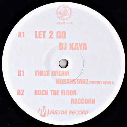 DJ Kaya / Northstarz Pres. Neon 8 / Raccoon - Let 2 Go / These Dream / Rock The Floor