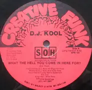 DJ Kool - What The Hell You Come In Here For?