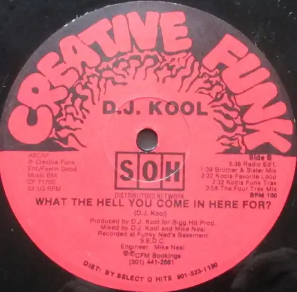 DJ Kool - What The Hell You Come In Here For?