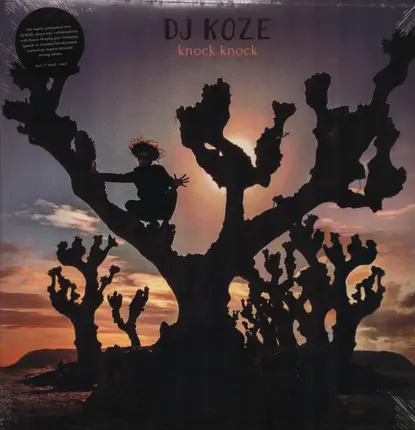 DJ Koze - Knock Knock