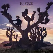 LP-Box - DJ Koze - Knock Knock - Limited Box Set