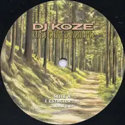 Double LP - DJ Koze - Kosi Comes Around