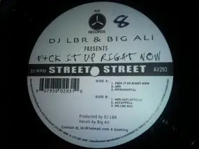 dj lbr - Fuck It Up Right Now