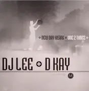 12inch Vinyl Single - DJ Lee & D. Kay - One 2 Three / New Day Rising