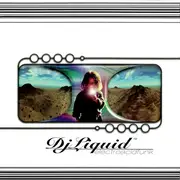 CD - DJ Liquid - Electroacidfunk