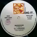 12inch Vinyl Single - DJ Lorenzino - Madhouse