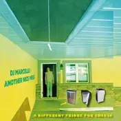 Dj Marcelle - A Different Fridge For Cheese