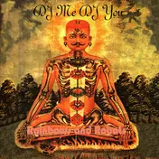 DJ Me DJ You - Rainbows and Robots