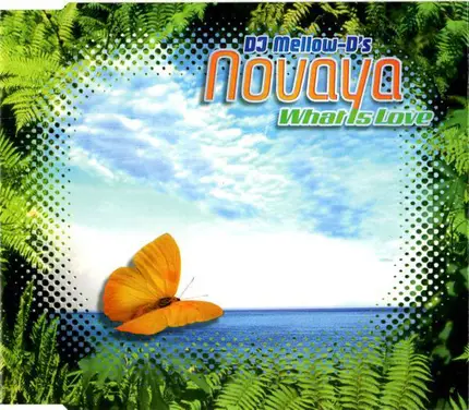 DJ Mellow-D 's Novaya - What Is Love