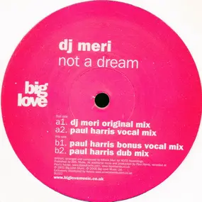 DJ Meri - Not A Dream