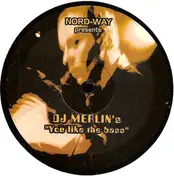 DJ Merlin's - You Like The Bass