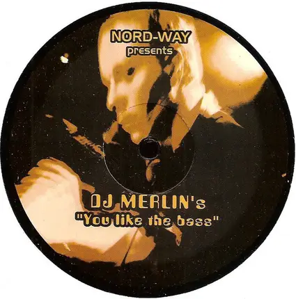 DJ Merlin's - You Like The Bass