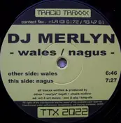 DJ Merlyn - Wales / Nagus