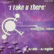 12'' - DJ Milo meets DJ Rayden - I Take U There