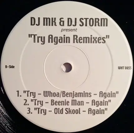 DJ MK & DJ Storm - Try Again Remixes