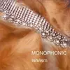 CD - DJ Monophonic - Ish/Ism (+2 Bonus)