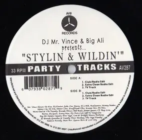 dj mr. vince & big ali - Stylin & Wildin