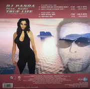 12inch Vinyl Single - DJ Panda Featuring Nadir - True Life