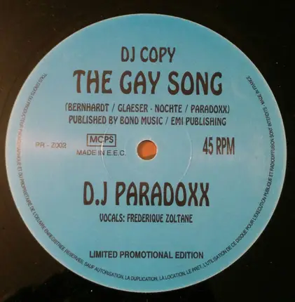 DJ Paradoxx - The Gay Song