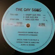 12inch Vinyl Single - DJ Paradoxx - The Gay Song