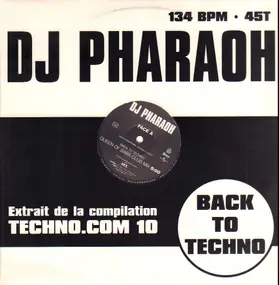 DJ Pharaoh - Back To Techno