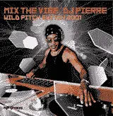 CD - DJ Pierre - Mix The Vibe: DJ Pierre - Wild Pitch 2001