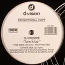 12inch Vinyl Single - DJ Pierre - Turn It Up
