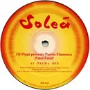 2 x 12inch Vinyl Single - DJ Pippi Presents Pasion Flamenca - ¡Fatal Fatal!