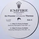 12'' - DJ Premier Introduces Theresa - I Want To Know Ya Better