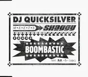 CD Single - DJ Quicksilver Meets Shaggy - Boombastic - Promo