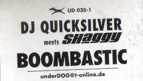 DJ Quicksilver - Boombastic
