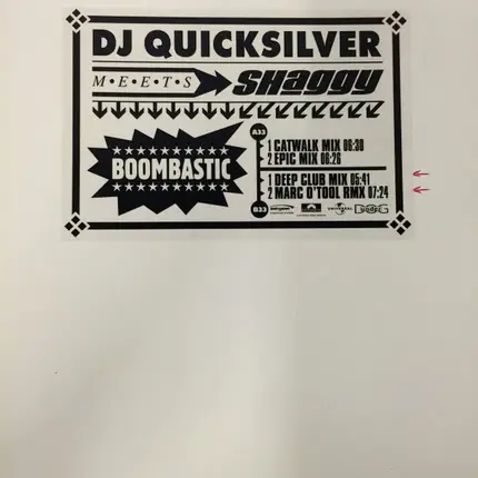 DJ Quicksilver Meets Shaggy - Boombastic