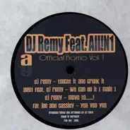 DJ Remy feat. All!N1 - Official Promo Vol.1