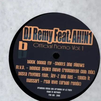 DJ Remy feat. All!N1 - Official Promo Vol.1
