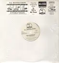 12inch Vinyl Single - DJ Revolution - Evolution