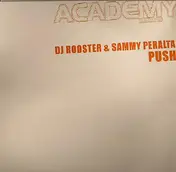 DJ ROOSTER - Push