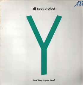 DJ Scot Project - Y (How Deep Is Your Love?)