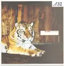 12inch Vinyl Single - DJ Sebbo - Tiger Trance