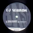 12inch Vinyl Single - DJ Sebrok - Voicecontrol