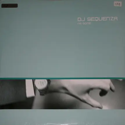 DJ Sequenza - I'm Gone