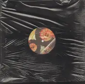 DJ Shadow - Brainfreeze
