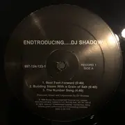 Double LP - DJ Shadow - Endtroducing.....
