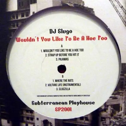 DJ Slugo - Wouldn't You Like To Be A Hoe Too