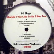 DJ Slugo - Wouldn't You Like To Be  A Hoe Too