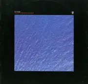 12'' - DJ Sneak - You Can't Hide From Your Bud