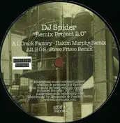 Dj Spider - Remix Project 2.0