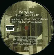 DJ Spider - Remix Project 2.0