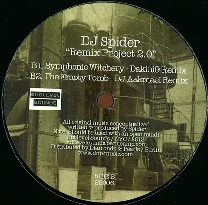DJ Spider - Remix Project 2.0